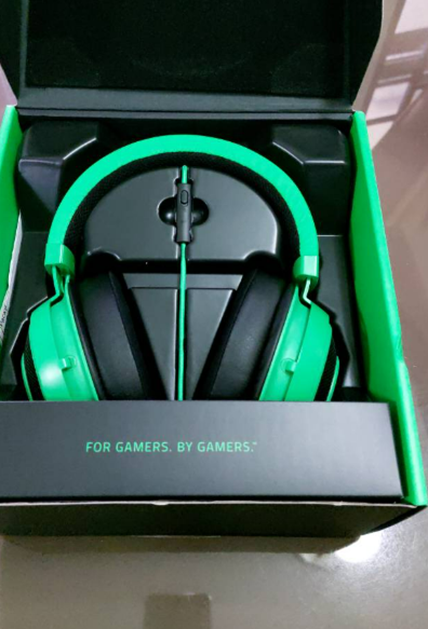 5 Best Headset for Gamers in the Philippines